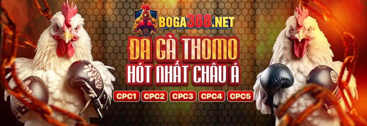 Hình ảnh nền tảng cá cược trực tuyến đáng tin cậy